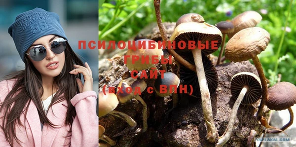 гидропоника Белокуриха