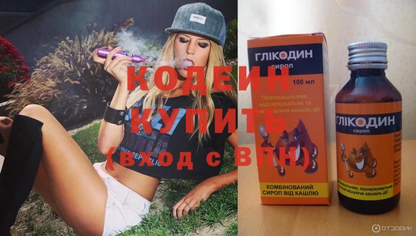 мдпв Бородино