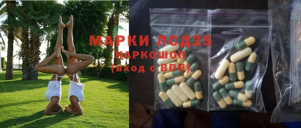 крисы Бронницы