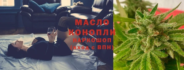 мдпв Бородино