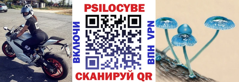 цена наркотик  Городец  Псилоцибиновые грибы Psilocybe 